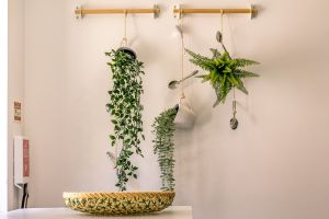 Apartment 6